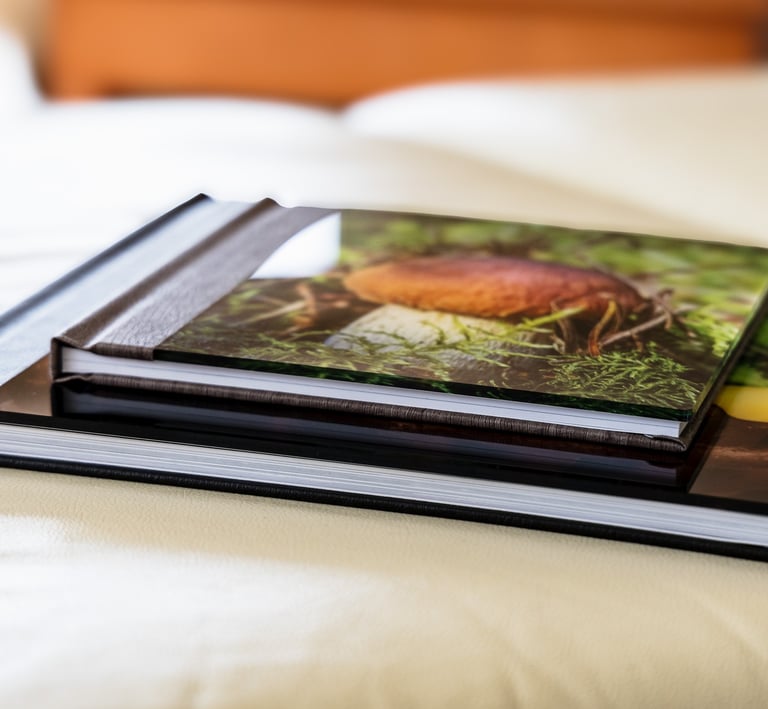 delux-fotoalbumas-akrilo ir juodos odos virseliu