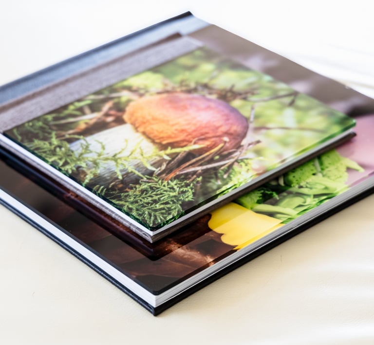 Delux fotoalbumai su akrilo ir dirbtinos odos viršeliu