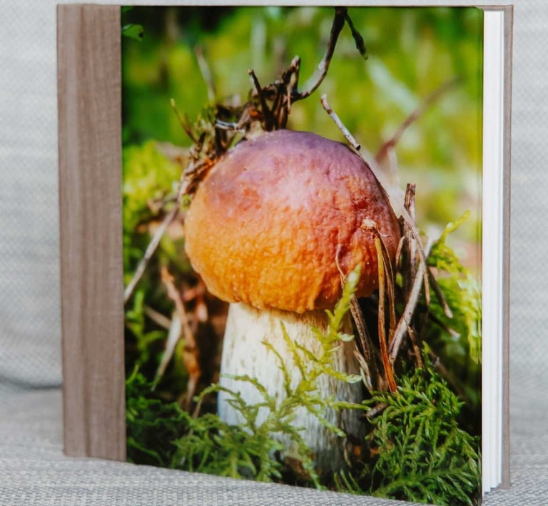 Delux fotoalbumas akriliniu viršeliu