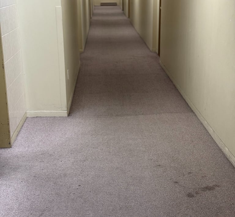 commercial carpet cleaning for condos and rental buildings