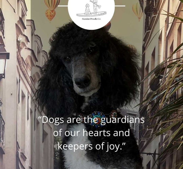 poodle with keepers text