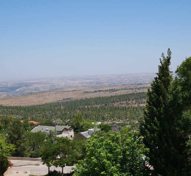 a view of a city from a hill top