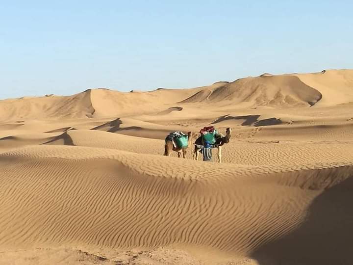 a group of people riding on a camel in the desert