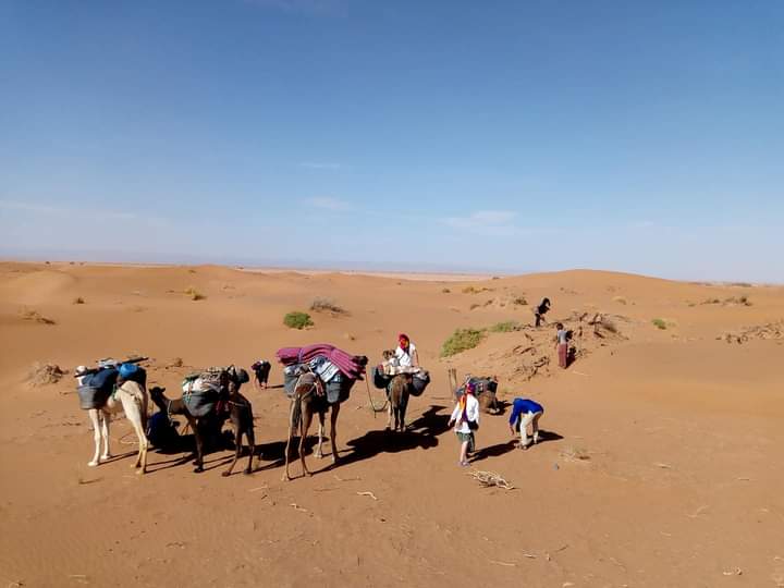 a group of people walking through a desert