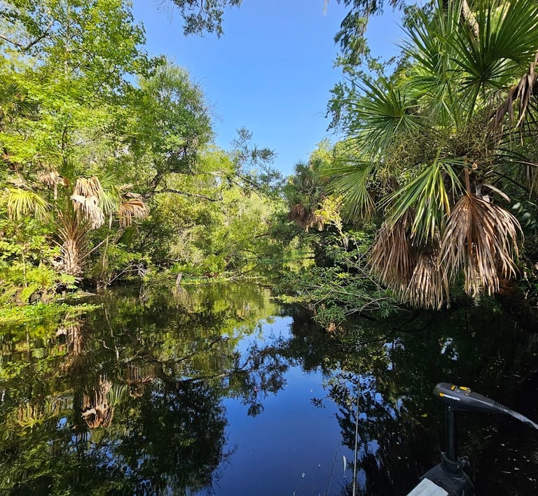 Water scape picture of Big Muddy Run in the summer, Lake George, Florida