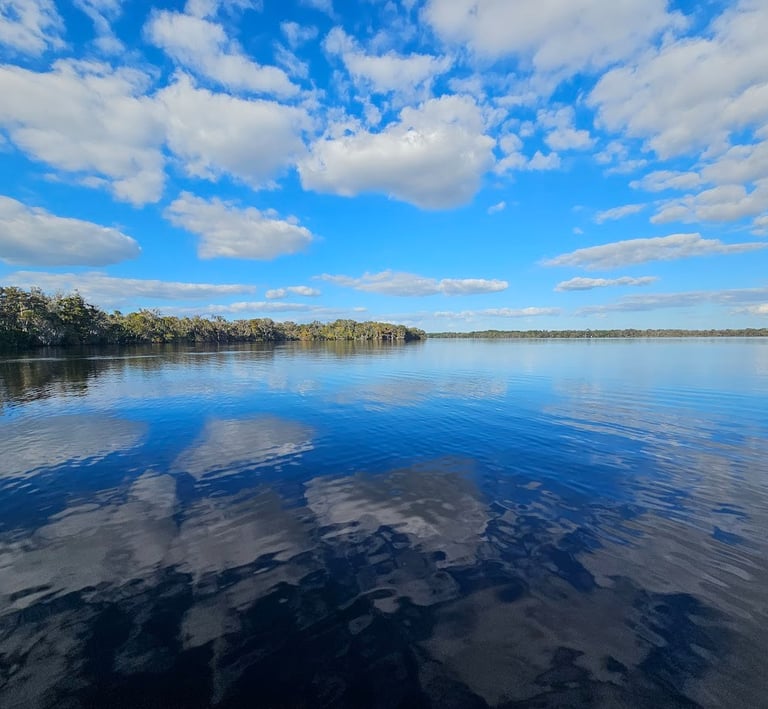 A picture of a partly cloudy day, looking over Lake George, Florida