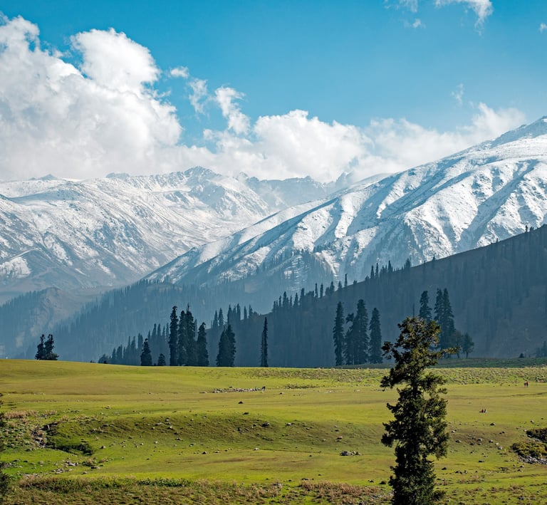 Himachal Packages