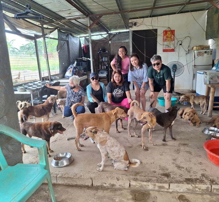 Home 4 Paws (formerly Pag Amuma rescues)