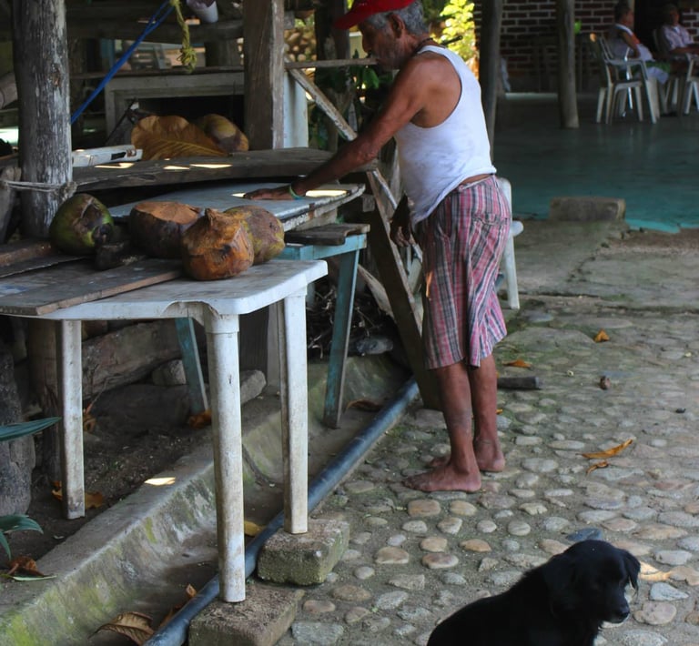 a man prepares his workstation to cut and sell fruit to the locals and tourists in Puerto Vallarta