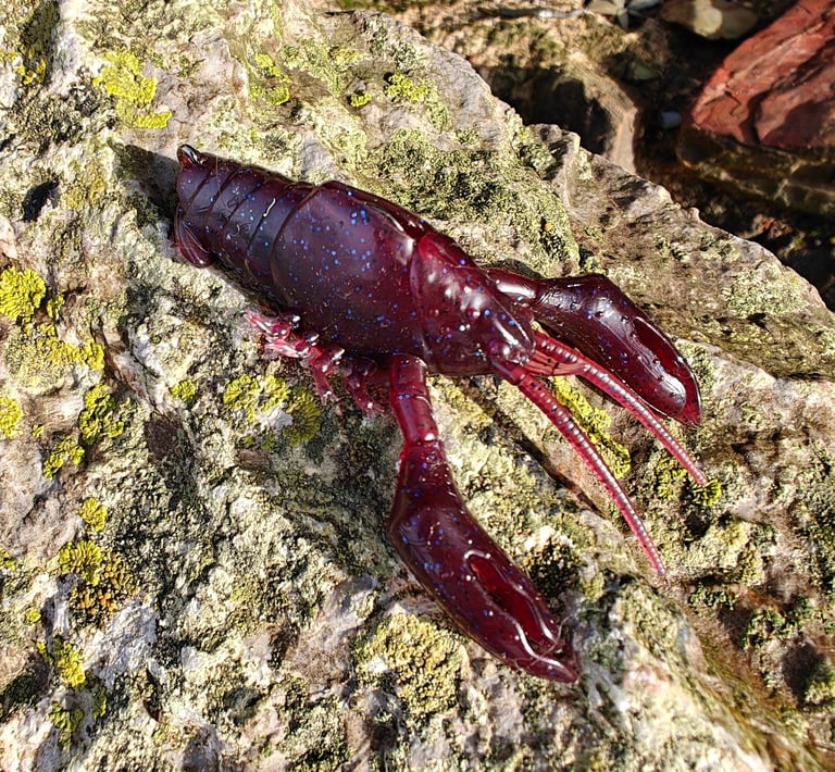 creature bait lure