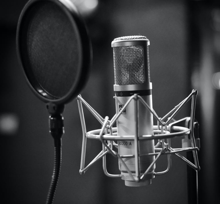 Microphone and pop filter