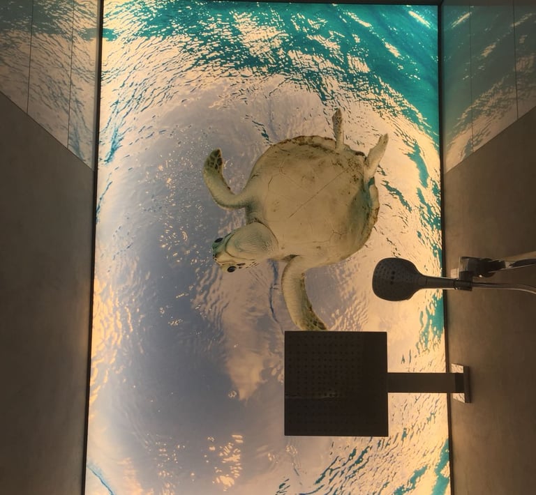 bedruckte-lichtdecke-mit-schildkroitenmotiv-in-dusche