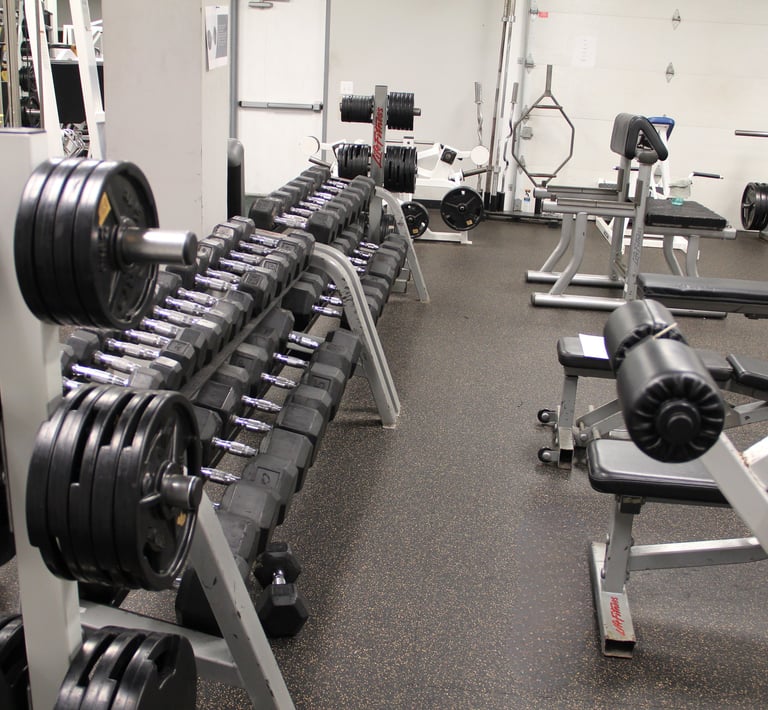 dumbbell rack