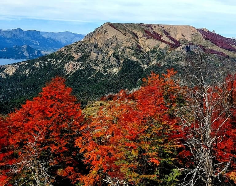 Otoño Villa Traful - Cerro Negro