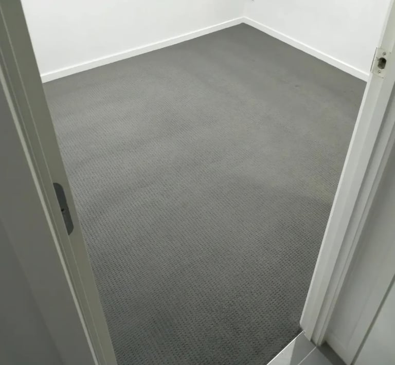 Before cleaning showing a carpet that is dirty.