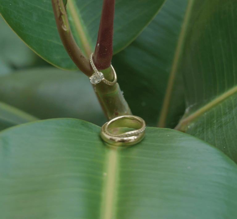 A wedding ring resting on a vibrant green leaf, symbolizing love and nature's beauty.