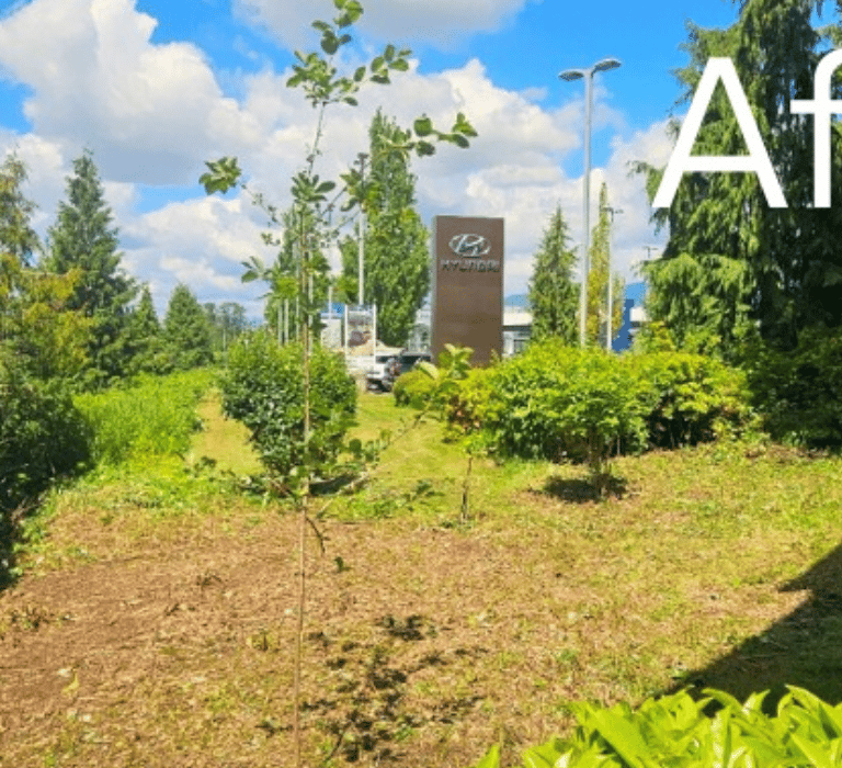 cleared land with some trees beside a house with a large sign in the background