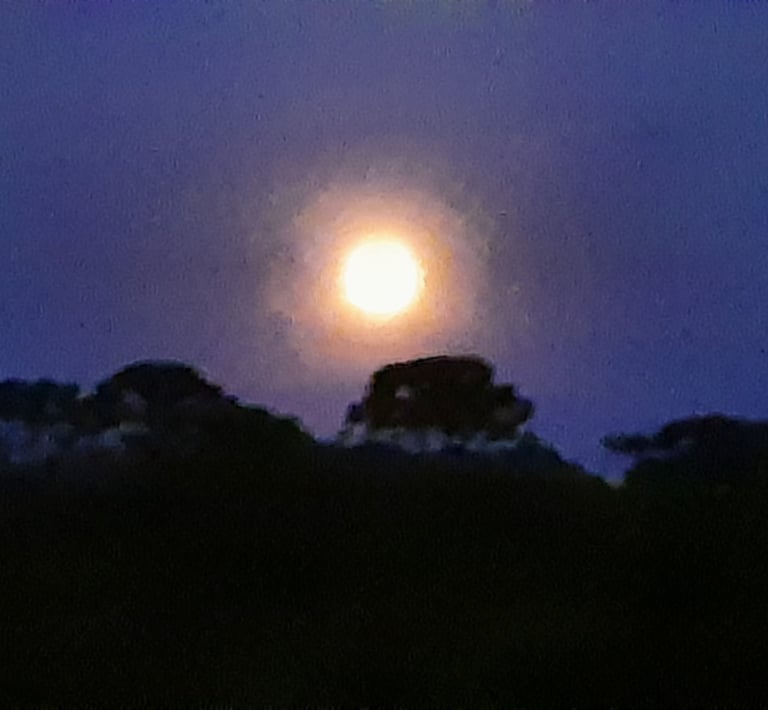Sitio Via Lactea,, Cunha, Sao Paulo