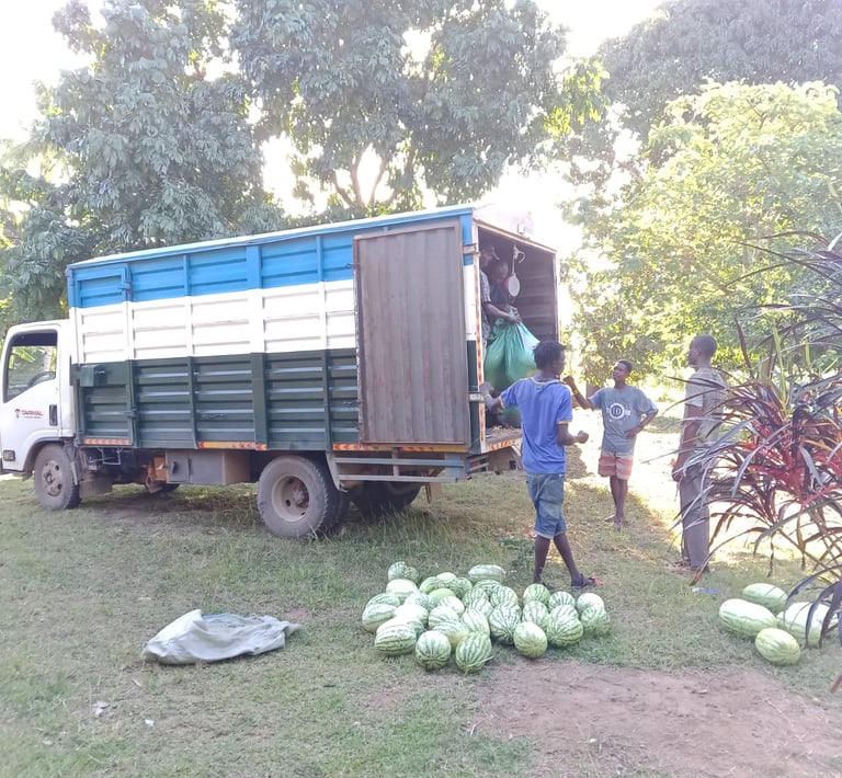 a truck with a trailer for watermelon transportation