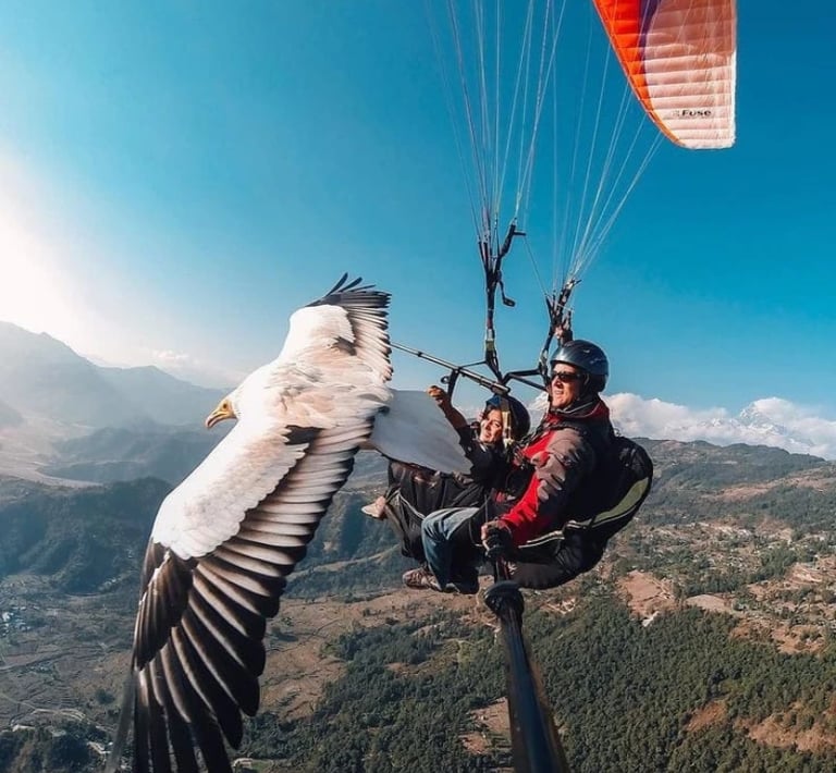 Sky Adventures: Paragliding in Agafay & Marrakech