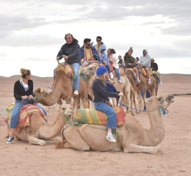 Camel Trekking: Explore the Moroccan Desert on Camelback