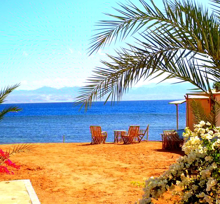 View of the beach flowers and sea at Bedouin star Ras shitan
