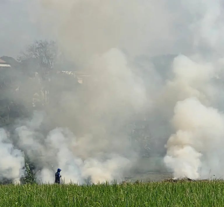 contaminación en mi barrio 2026