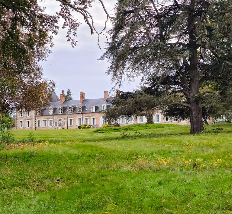 chateau cote parc.