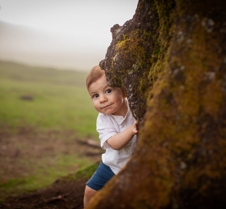 Boy behinde laurisilva in Fanal Forest
