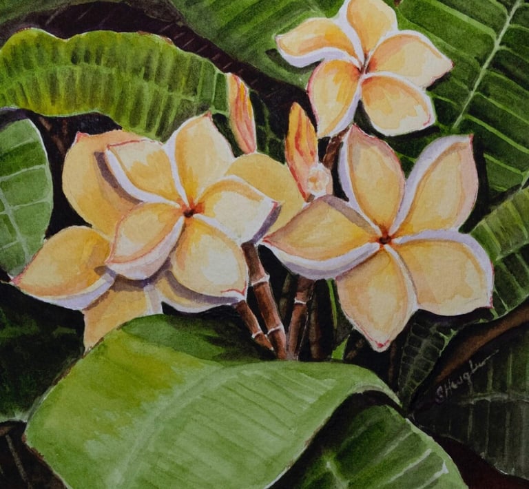Plumeria Painting