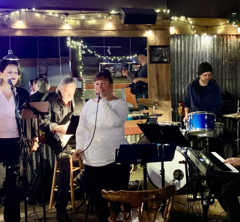 Birds of a feather band performing on stage