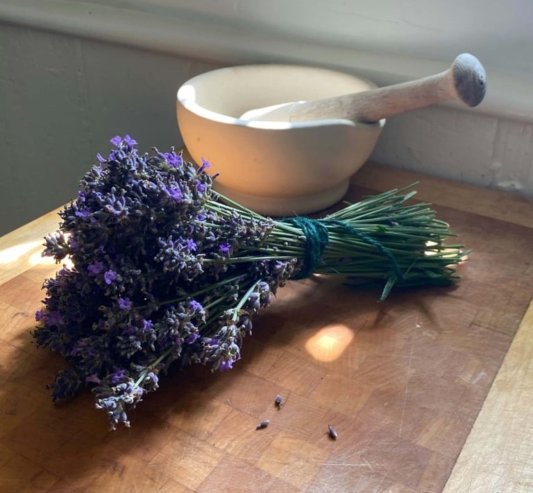 A fresh bundle of dried lavender flowers tied with twine next to a mortar and pestle on a wooden cutting board.
