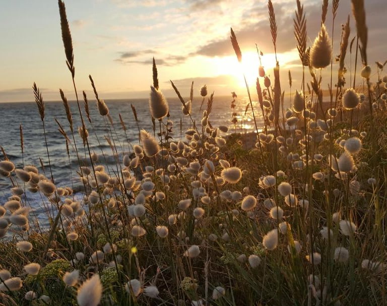 Coucher de soleil lumineux et en paix