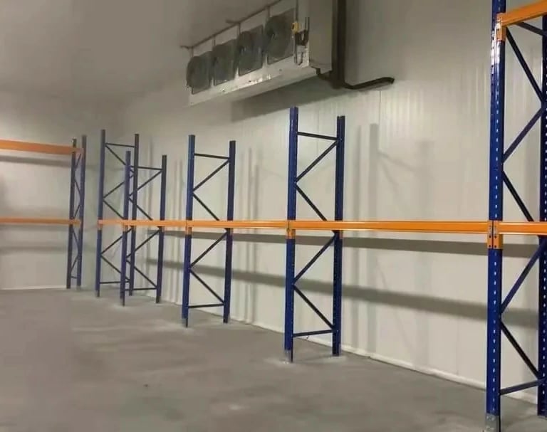 industrial cold storage room for food and logistics