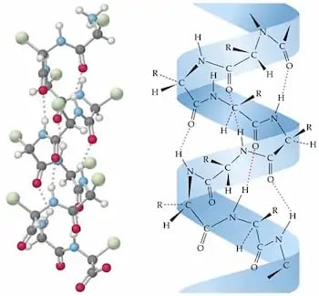molécule de keratine