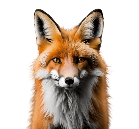 unfox adaptación