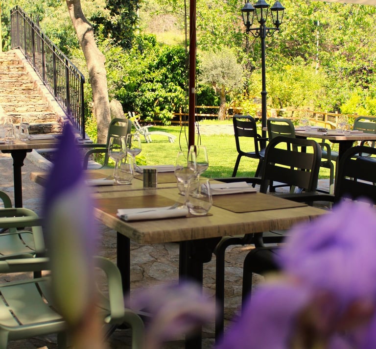profitez de la fraicheur de la terrasse