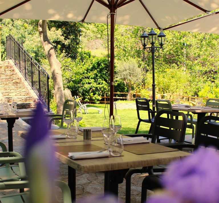 La terrasse et son jardin , terrasse ombragée, restaurant de village, restauranta vescovato, grillad