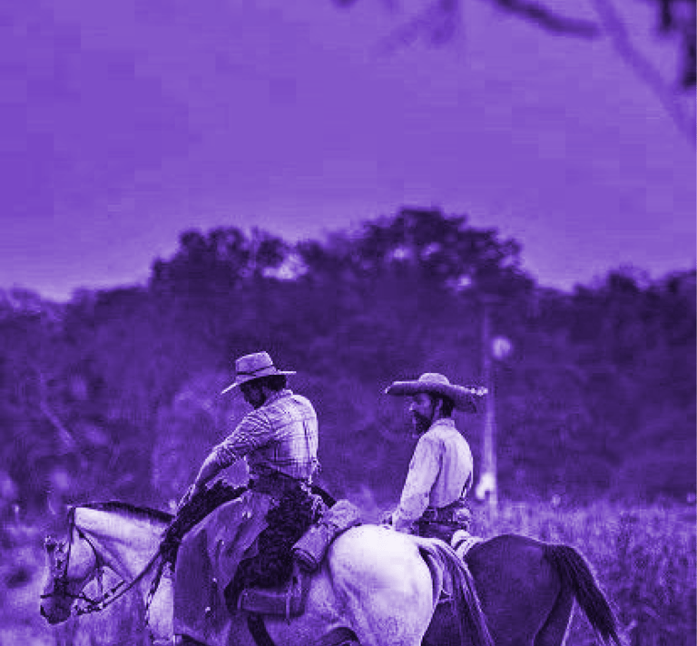 Foto de boiadeiros campeando