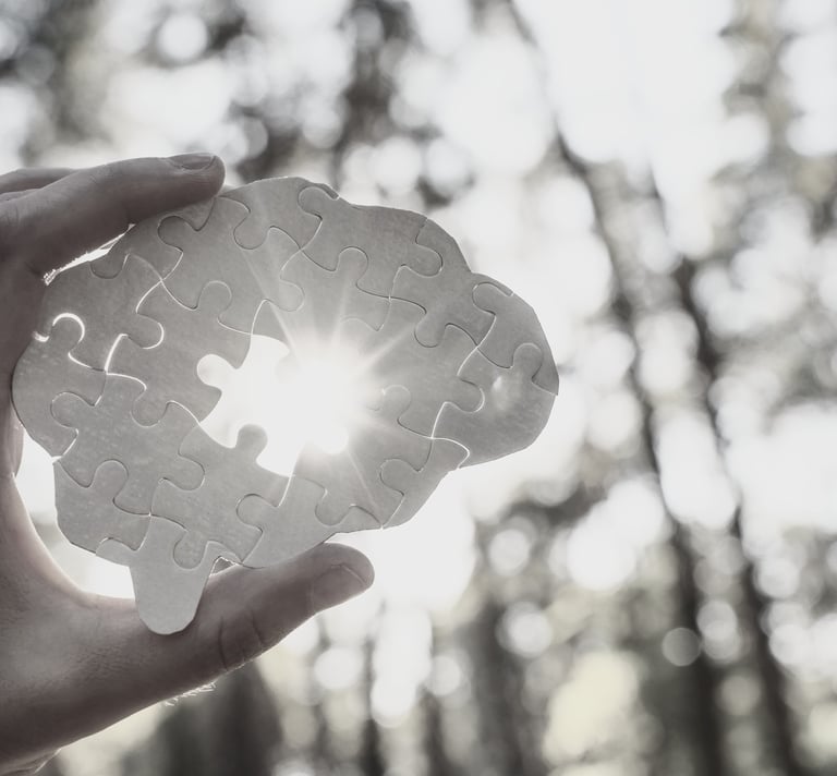a person holding a brain shaped puzzle with a missing piece through which the sun shines