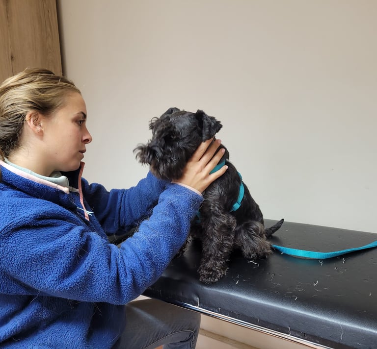 Trudi chez son ostéopathe