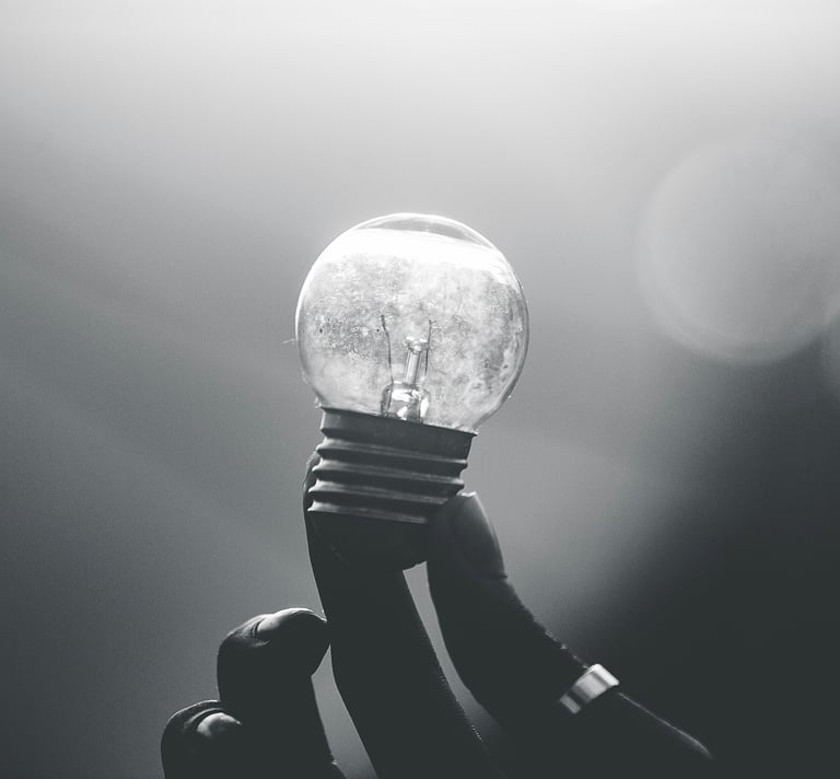 black and white photo of a person holding a light bulb in the light