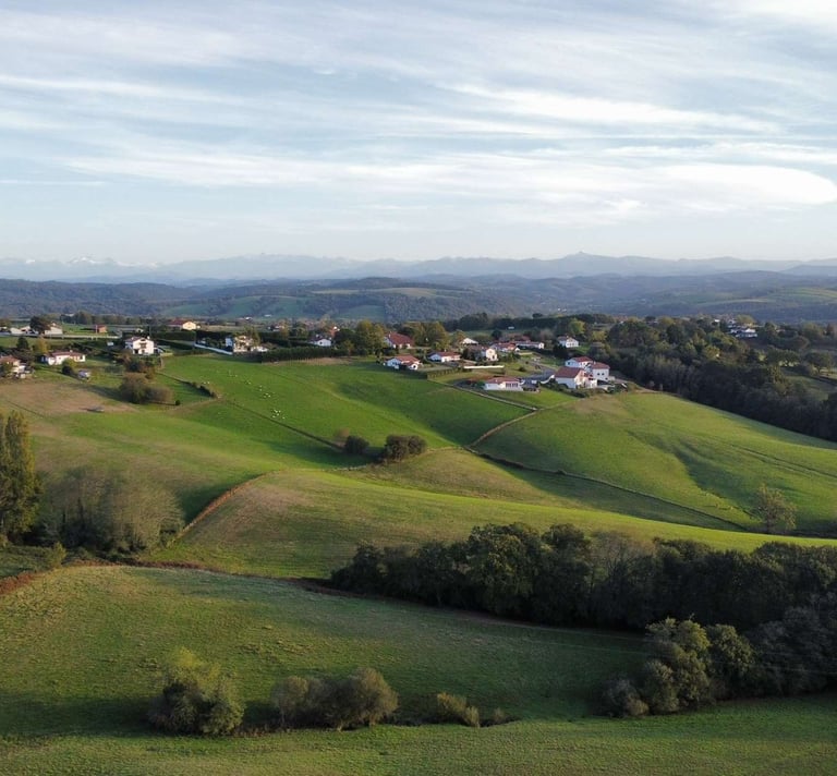 photo drone