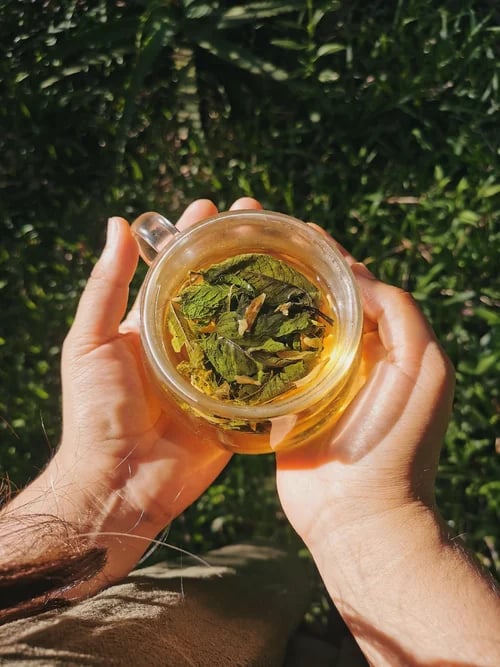 manos sosteniendo una taza de vidrio con infusion de hierbas
