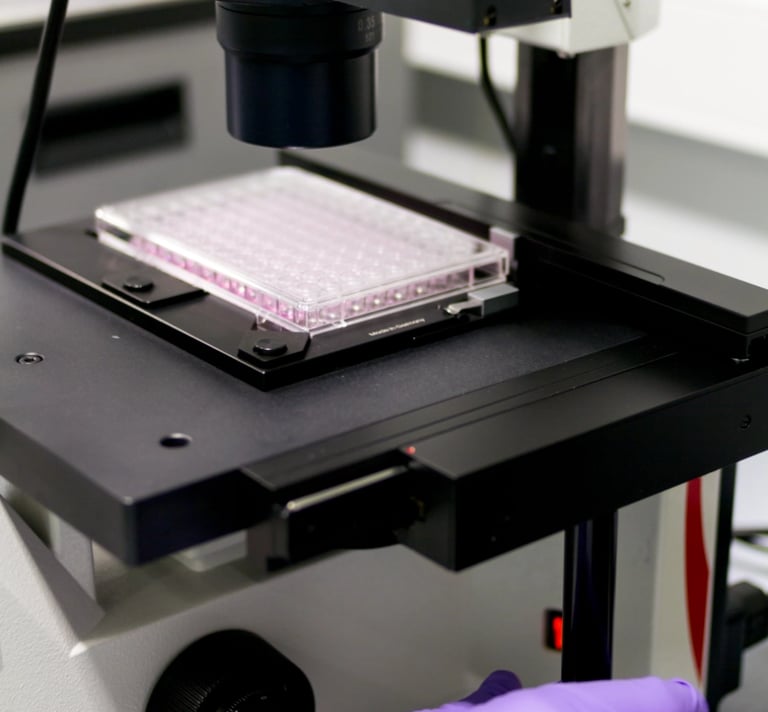Fotografia corporativa llavoretes social media para proyectos investigación científica laboratorios