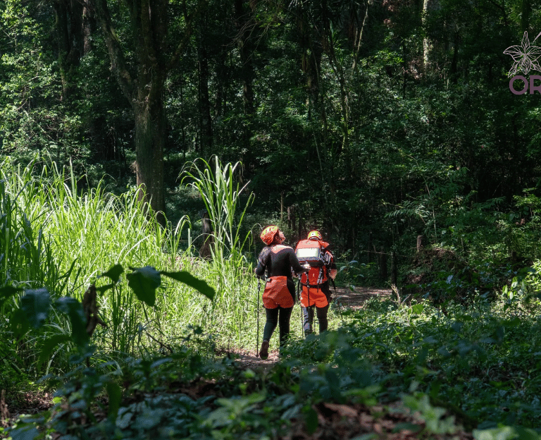sendero de la ruta de la orquidea en coatepec
