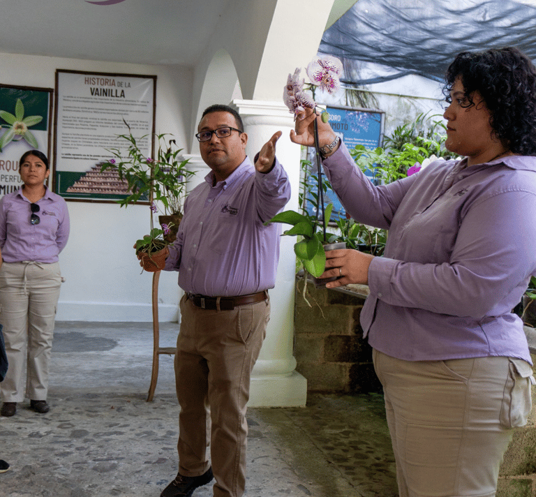 explicacion en el museo de la orquidea en coatepec la ruta de la orquidea
