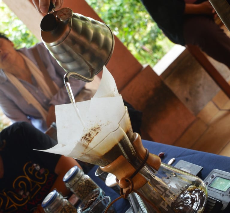 degustacion de cafe en coatepec ruta de la orquidea