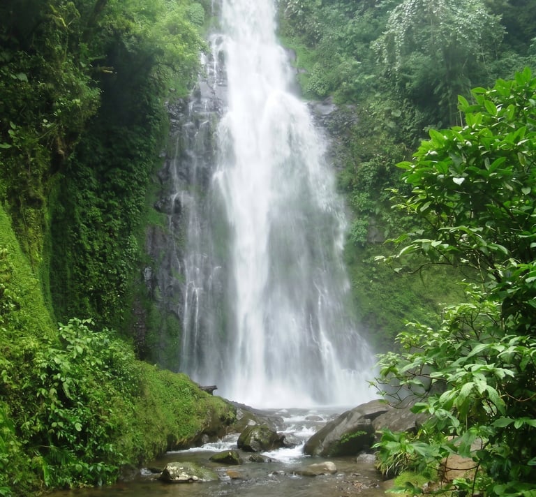 Cascada la granada en coatepec veracruz