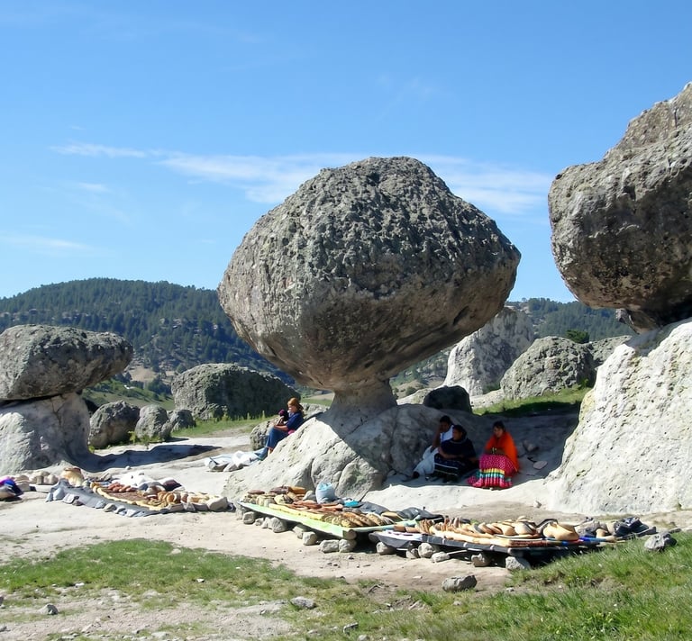Valle de los Hongs y ranas en chihuahua